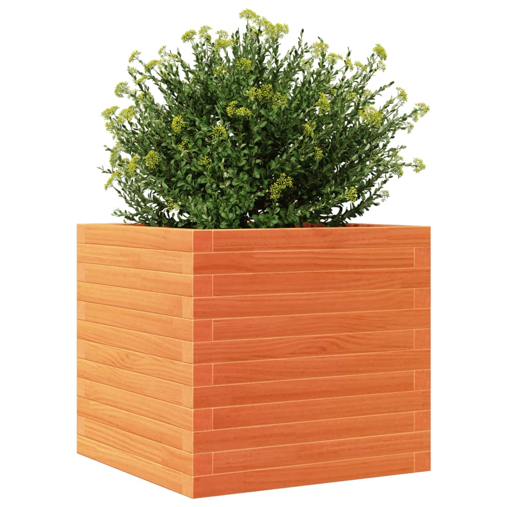 Plantenbak 50x50x46 cm massief groenenhout wasbruin