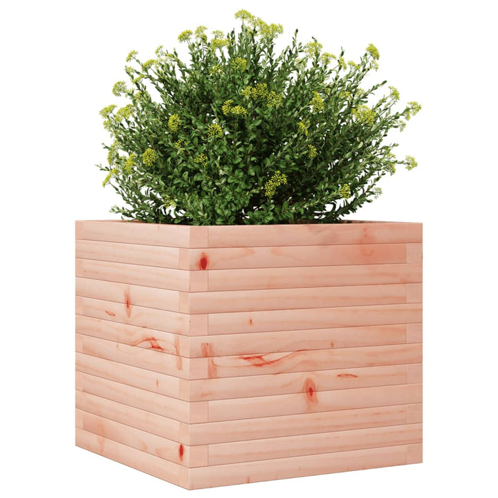 Plantenbak 50x50x46 cm massief douglashout