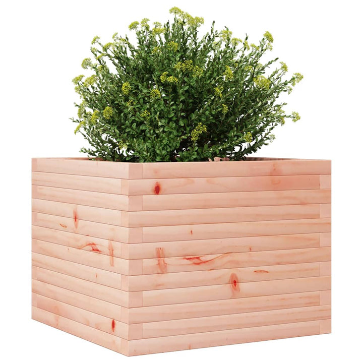 Plantenbak 60x60x46 cm massief douglashout