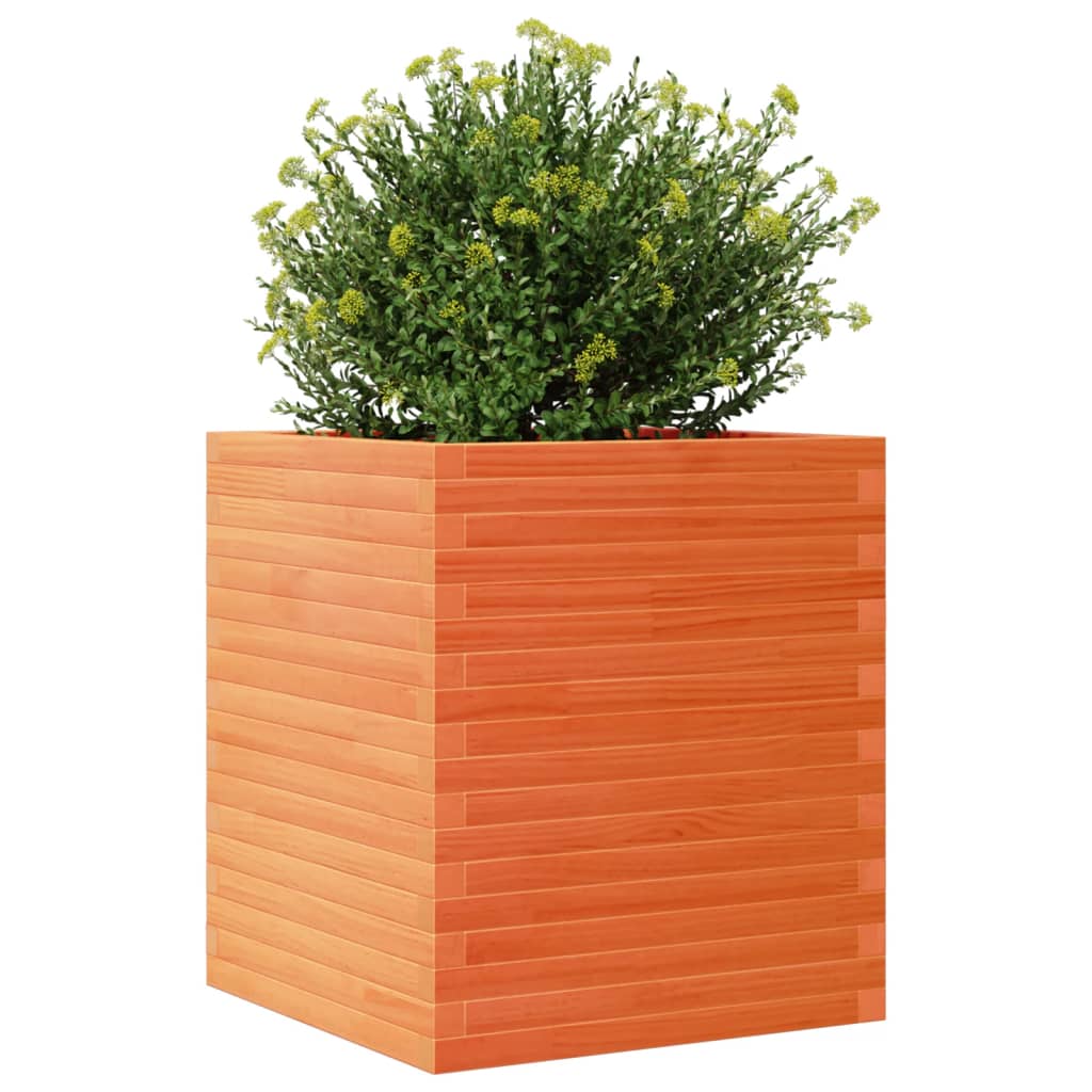 Plantenbak 60x60x68,5 cm massief groenenhout wasbruin