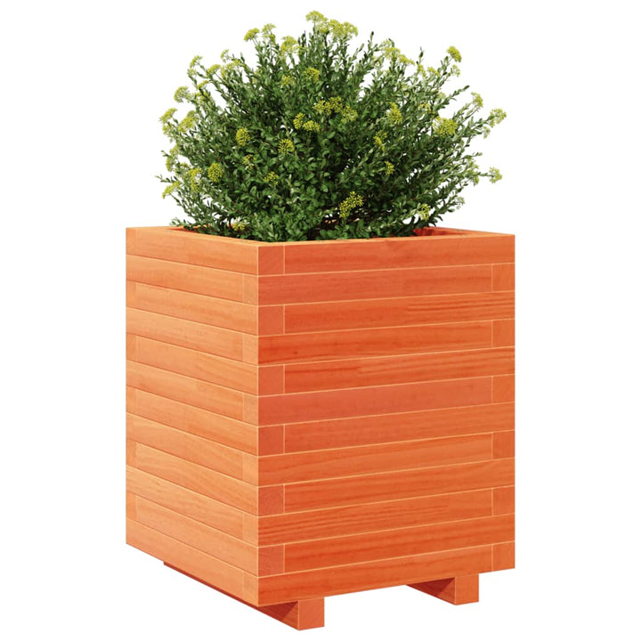 Plantenbak 40x40x49,5 cm massief groenenhout wasbruin