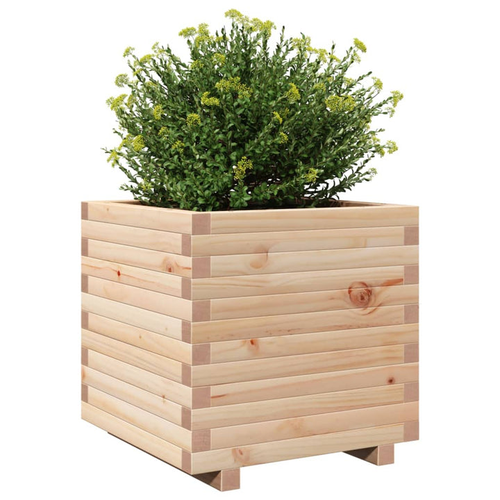 Plantenbak 50x50x49,5 cm massief grenenhout