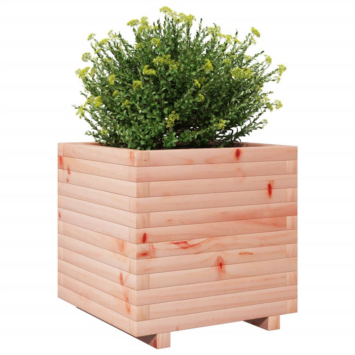 Plantenbak 50x50x49,5 cm massief douglashout