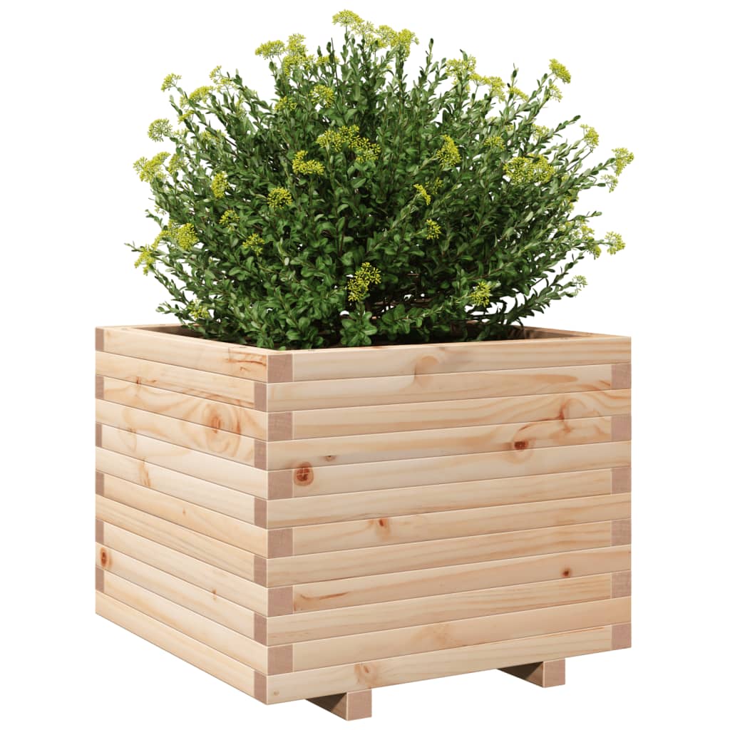 Plantenbak 60x60x49,5 cm massief grenenhout