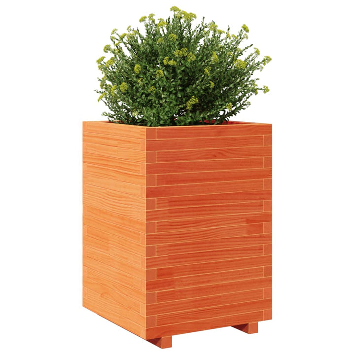 Plantenbak 50x50x72,5 cm massief groenenhout wasbruin