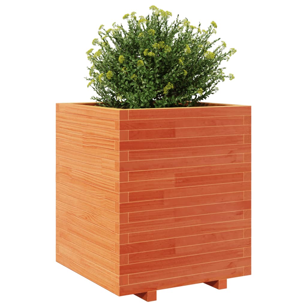 Plantenbak 60x60x72,5 cm massief groenenhout wasbruin