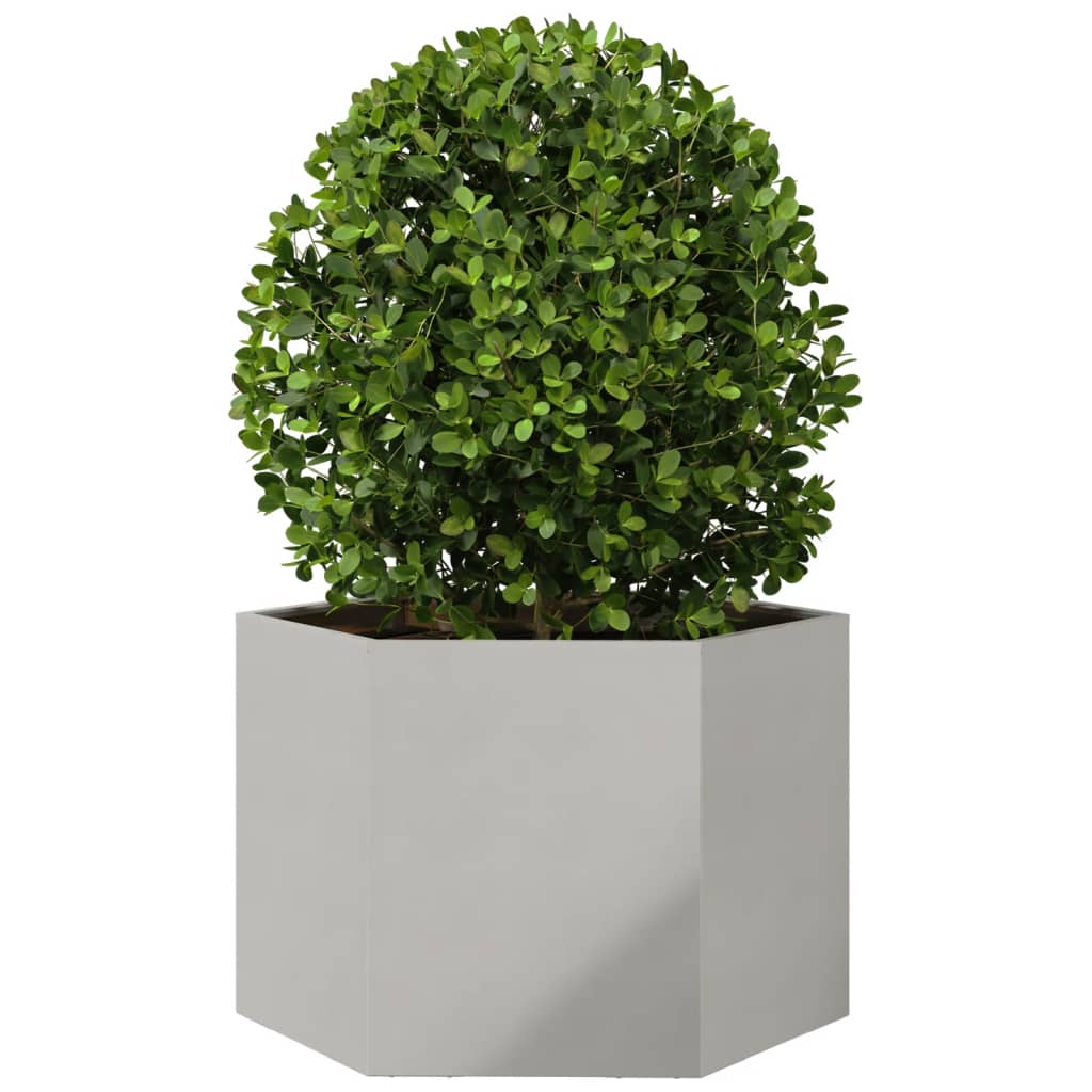 Plantenbak zeshoek 69x60x45 cm roestvrijstaal