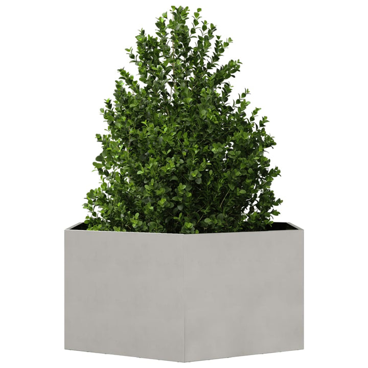 Plantenbak zeshoek 104x90x45 cm roestvrijstaal