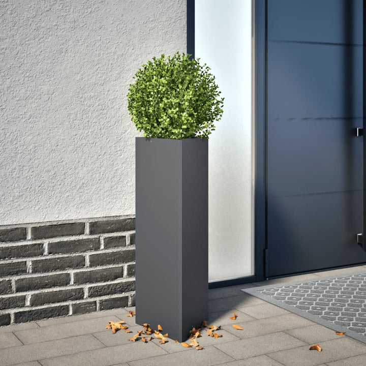 Plantenbak driehoek 30x26x75 cm staal antracietkleurig