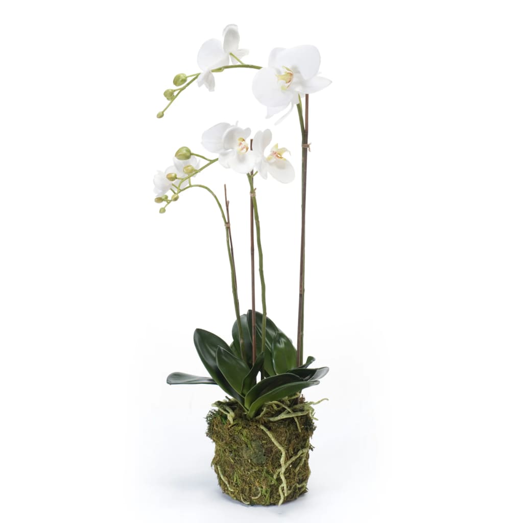 Emerald Kunstplant vlinderorchidee 70 cm wit