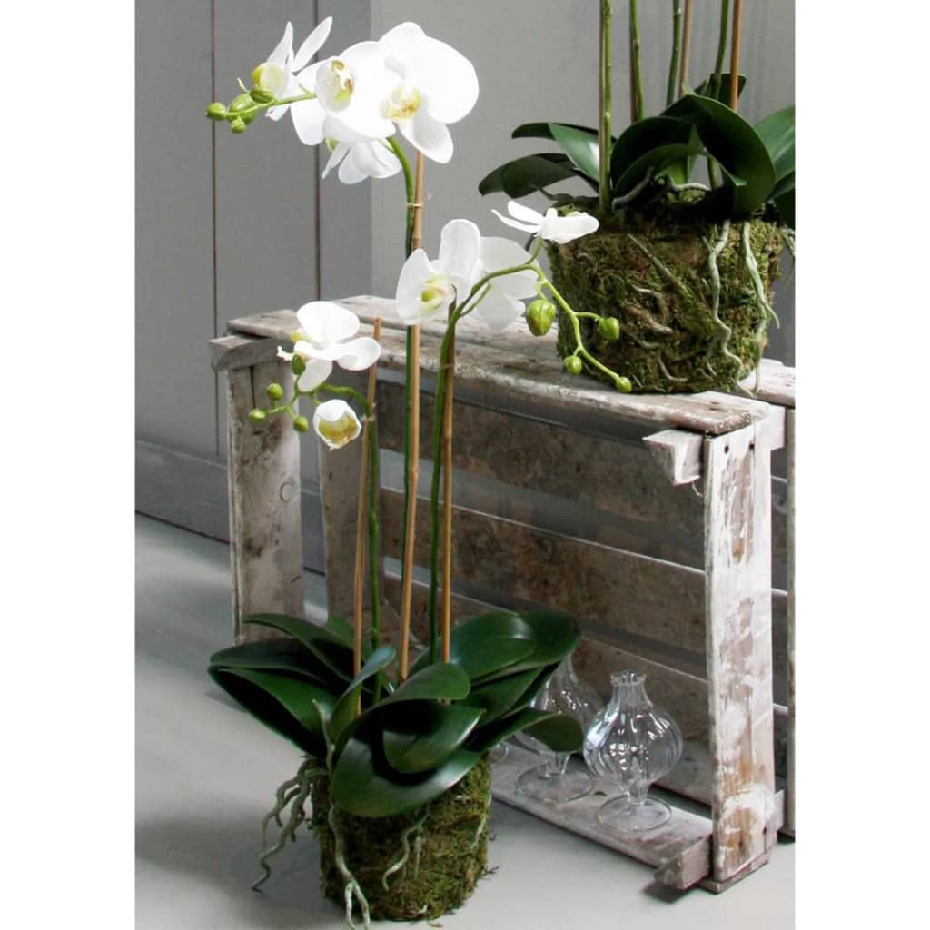 Emerald Kunstplant vlinderorchidee 70 cm wit