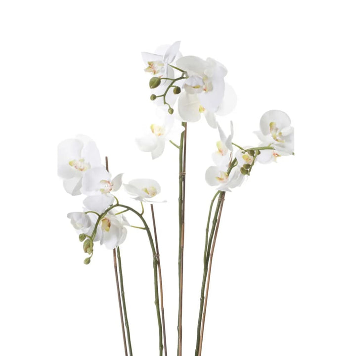 Emerald Kunstplant orchidee met mos wit 90 cm 20.355