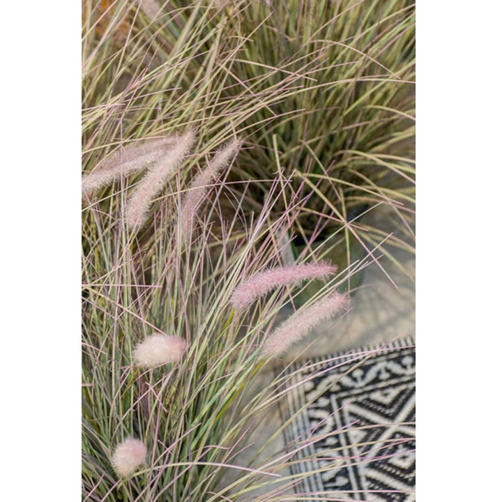 Emerald Kunstplant pennisetum groen 71 cm 418155