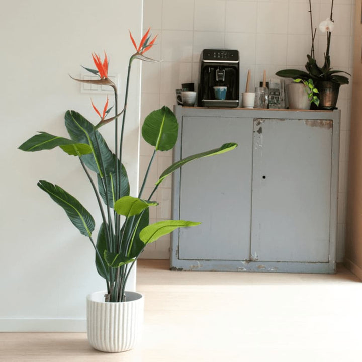 Emerald Kunstplant met pot en bloemen Strelitzia 120 cm