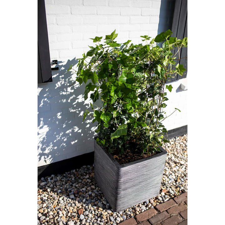 Capi Plantenbak Nature Rib vierkant 40x40 cm antraciet KOFZ903