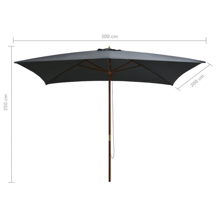 Parasol met houten paal 200x300 cm antraciet
