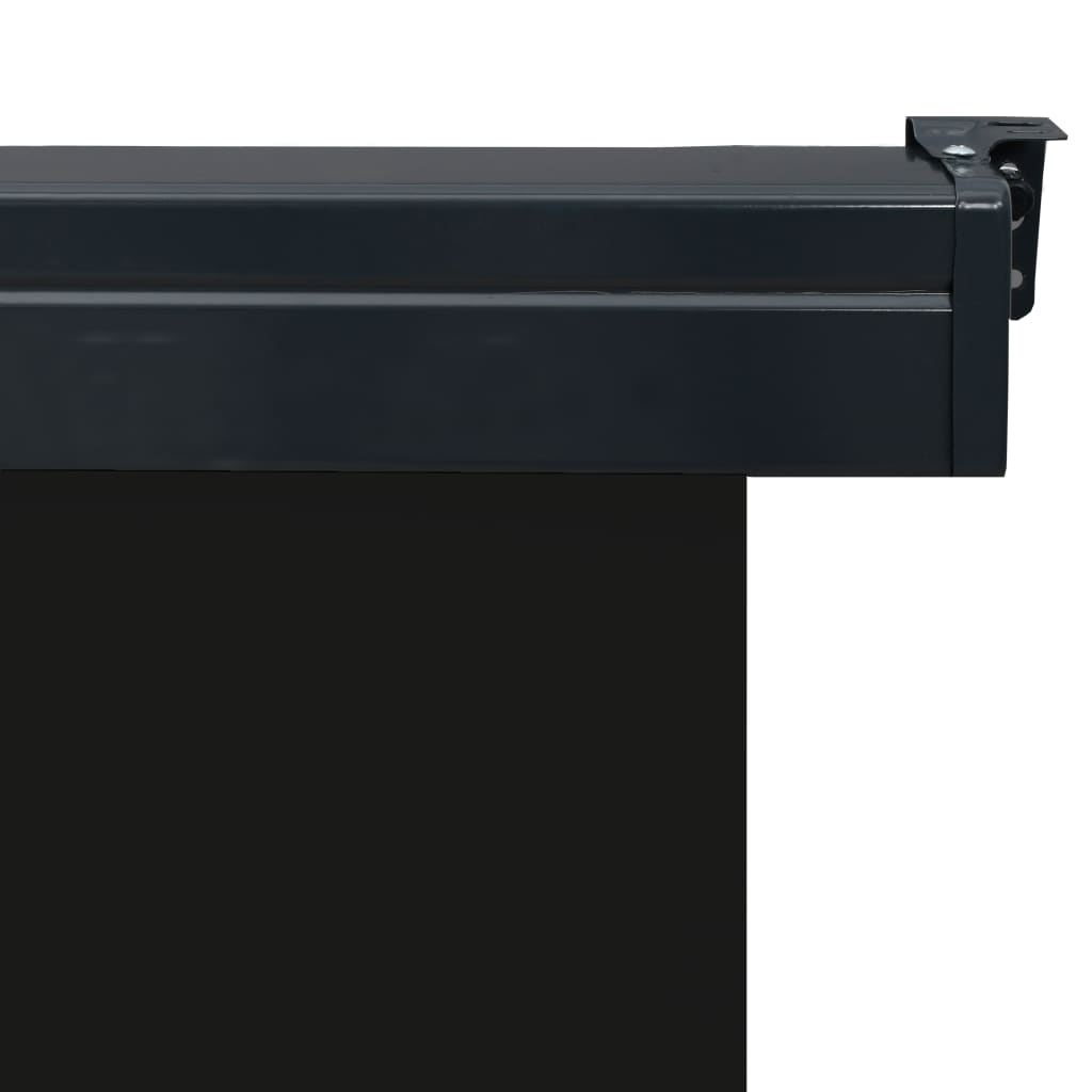 Balkonscherm 85x250 cm zwart