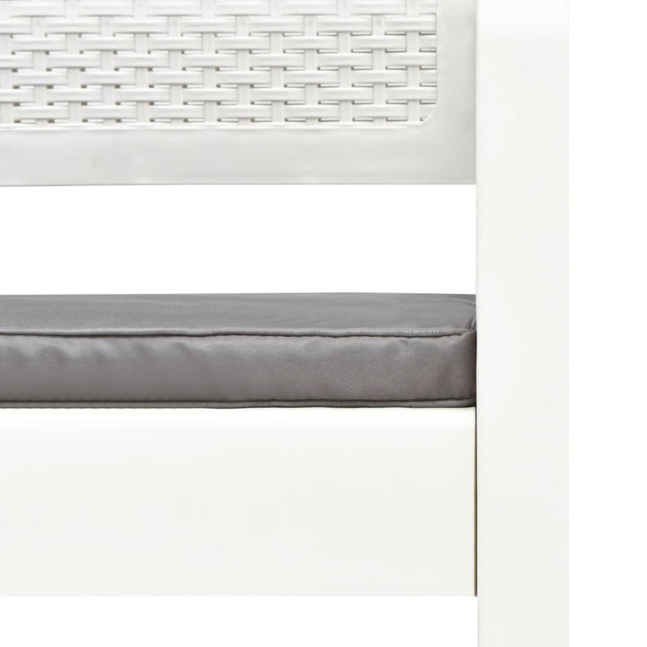Tuinbank 2-zits met kussens 120 cm kunststof wit