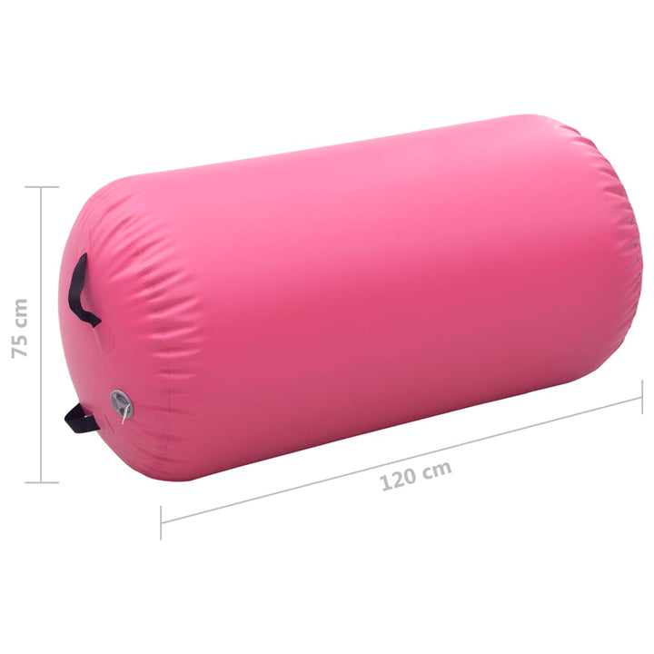 Gymnastiekrol met pomp opblaasbaar 120x75 cm PVC roze