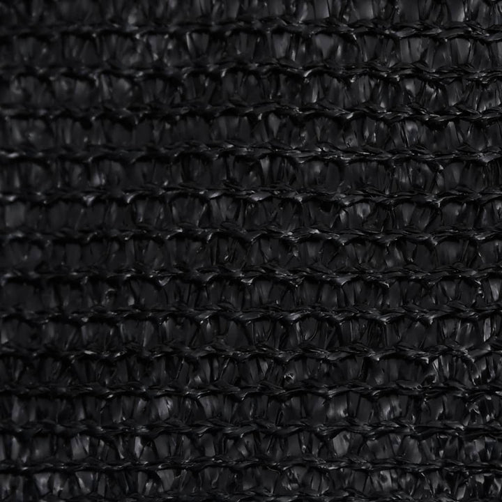 Zonnezeil 160 g/m² 4x4x4 m HDPE zwart