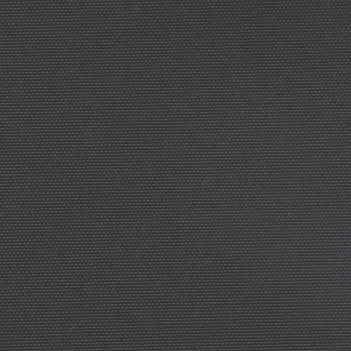 Tuinscherm uittrekbaar 117x1200 cm zwart