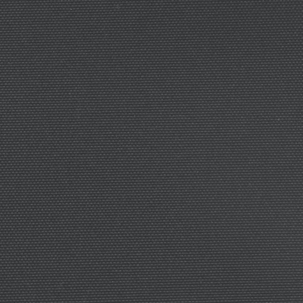 Tuinscherm uittrekbaar 160x1200 cm zwart