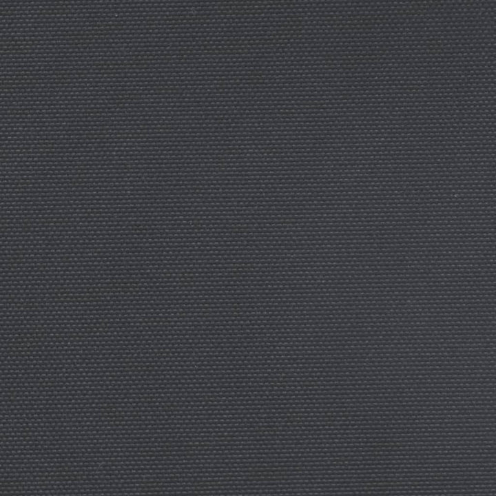 Tuinscherm uittrekbaar 180x1200 cm zwart