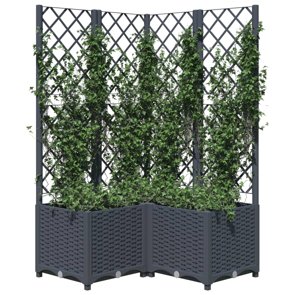 Plantenbak met latwerk 80x80x136 cm polypropeen donkergrijs