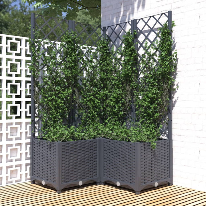 Plantenbak met latwerk 80x80x136 cm polypropeen donkergrijs