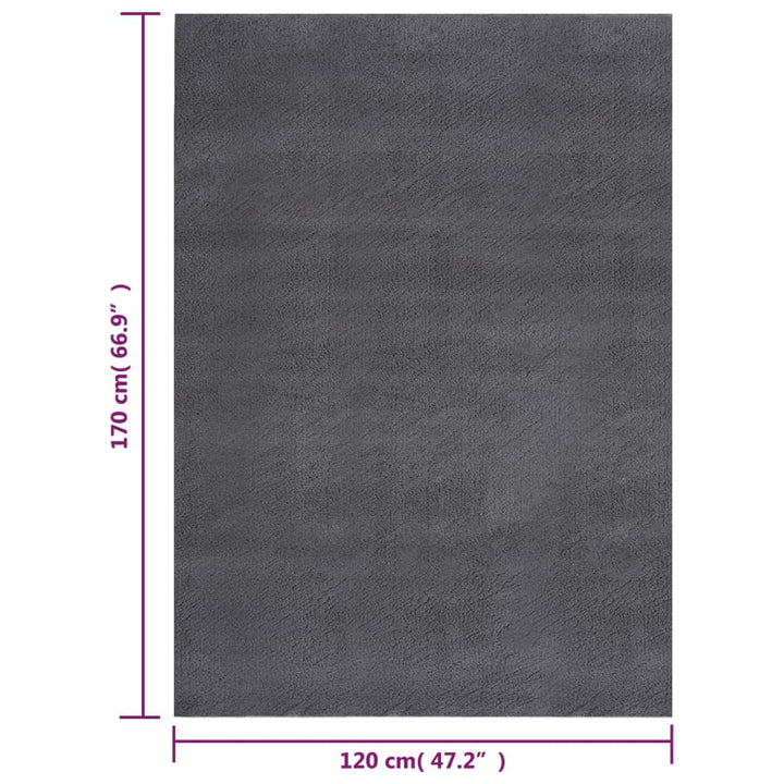 Vloerkleed wasbaar zacht shaggy anti-slip 120x170 cm antraciet