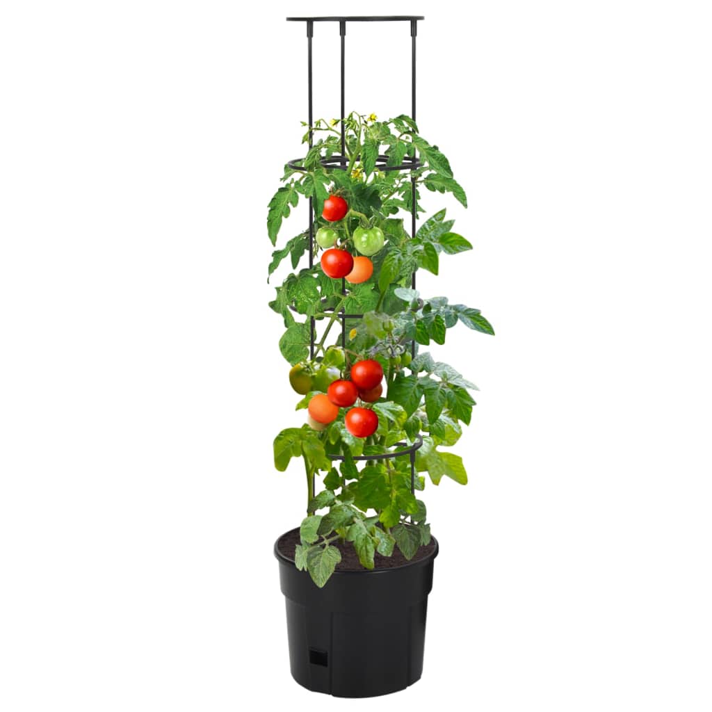 Tomatenkweekpot ø¸29,5x115 cm polypropeen antracietkleurig