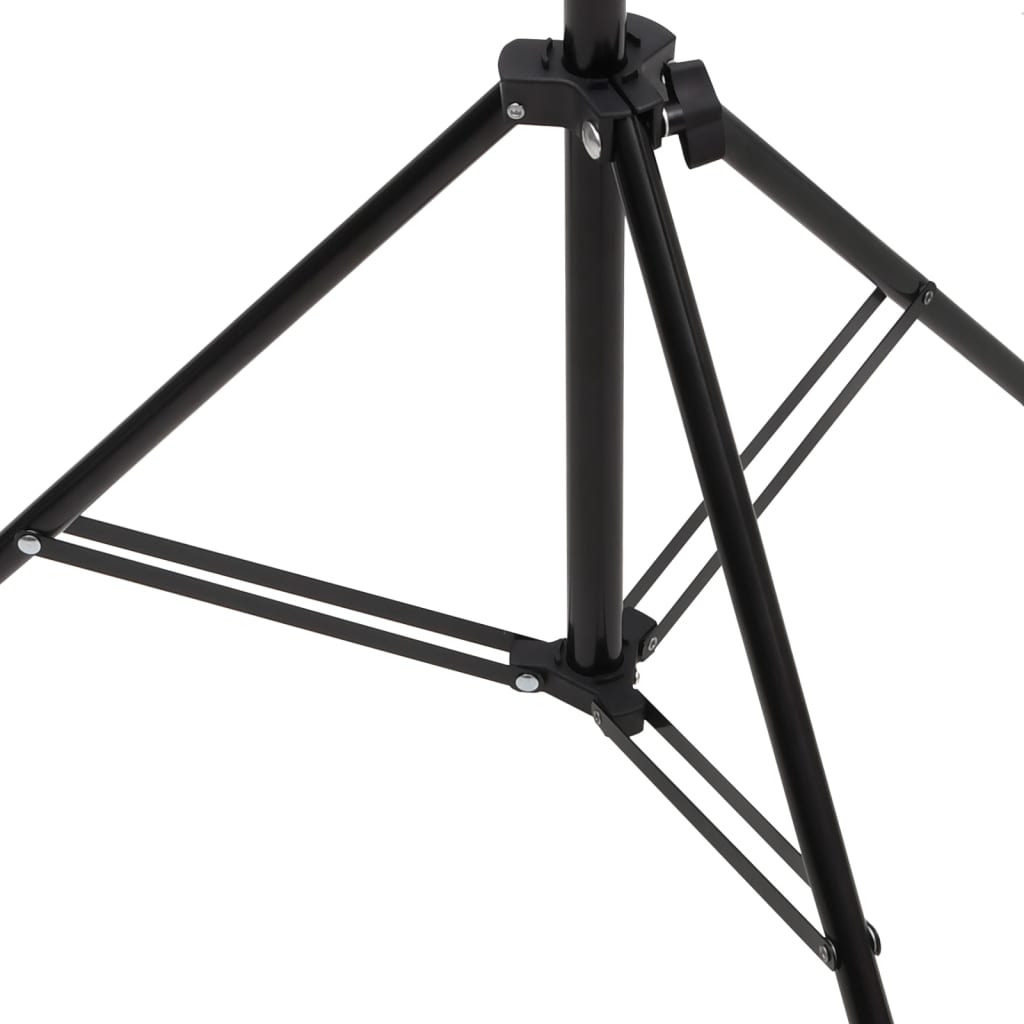 Achtergrondstandaard T-vormig 201x60x(70-200) cm zwart