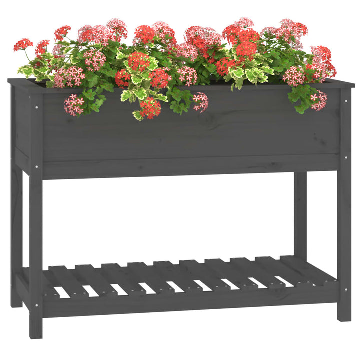 Plantenbak met schap 111,5x54x81 cm massief grenenhout grijs