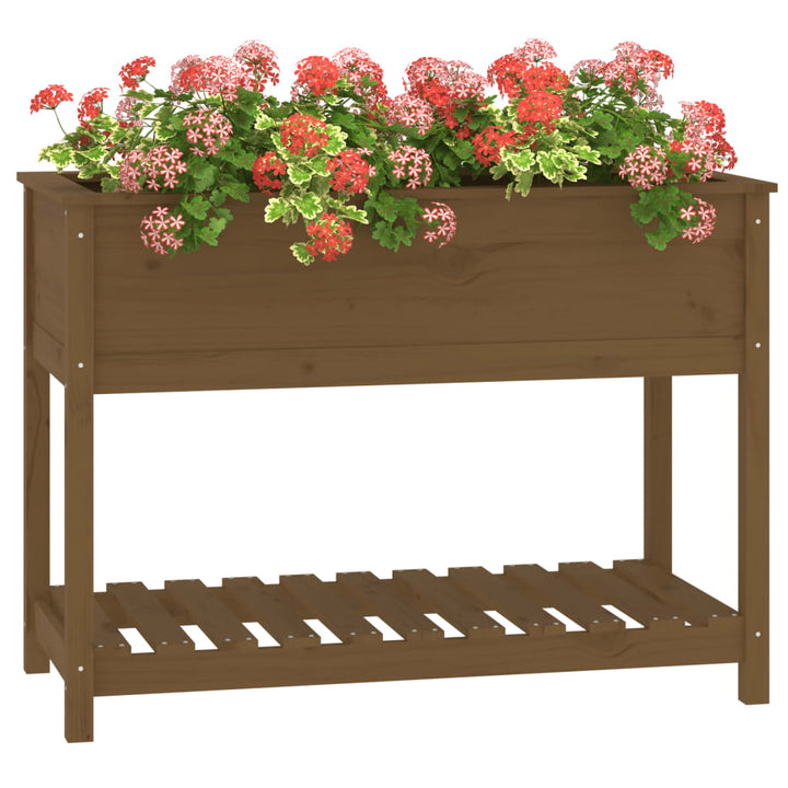 Plantenbak met schap 111,5x54x81 cm grenenhout honingbruin