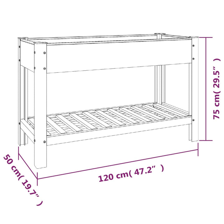 Plantenbak verhoogd met schap 120x50x75 cm HKC grijs