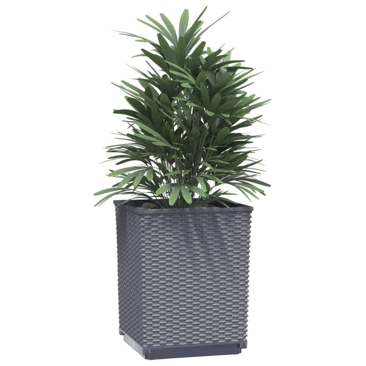 Plantenbakken 2 st 30x30x37 cm polypropeen donkergrijs