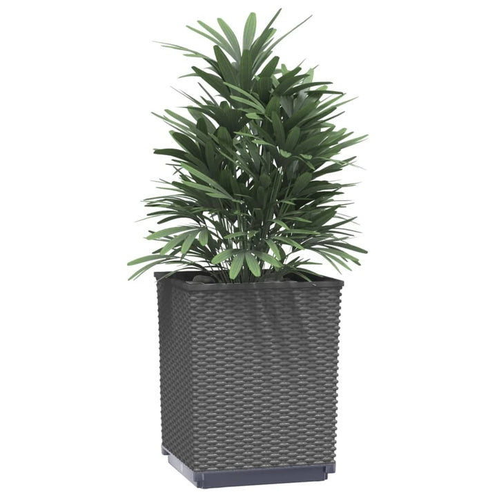 Plantenbakken 2 st 30x30x37 cm polypropeen zwart