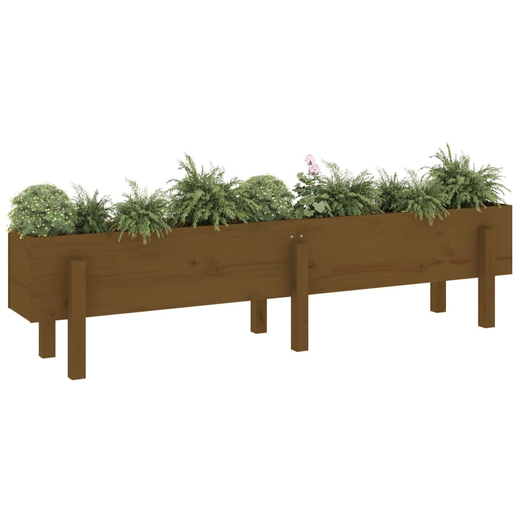 Plantenbak verhoogd 160x30x38 cm massief grenenhout honingbruin