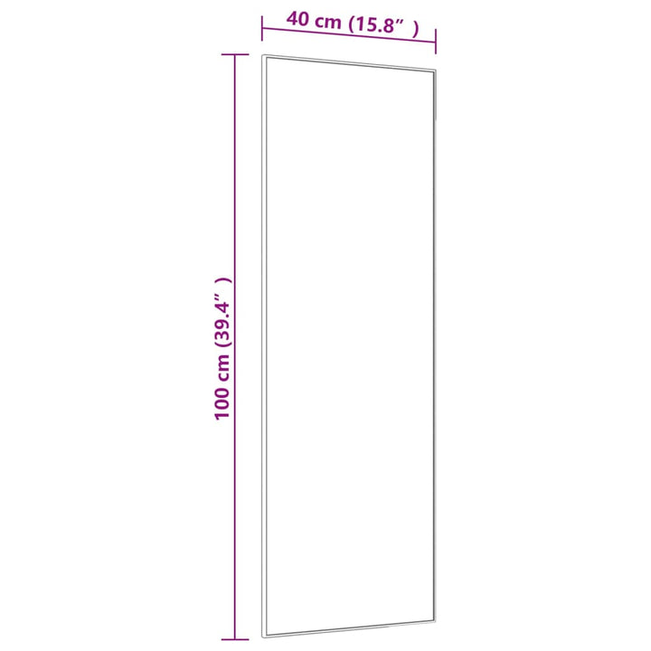 Deurspiegel 40x100 cm glas en aluminium zwart - Griffin Retail