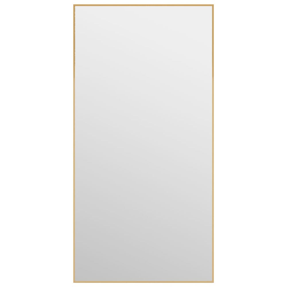 Deurspiegel 40x80 cm glas en aluminium goudkleurig - Griffin Retail