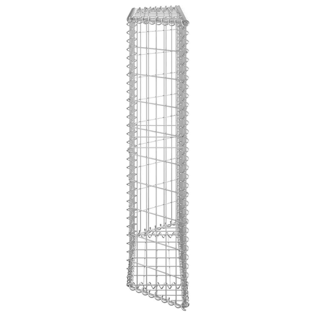Gabion plantenbak trapezium 100x20x100 cm gegalvaniseerd staal - Griffin Retail