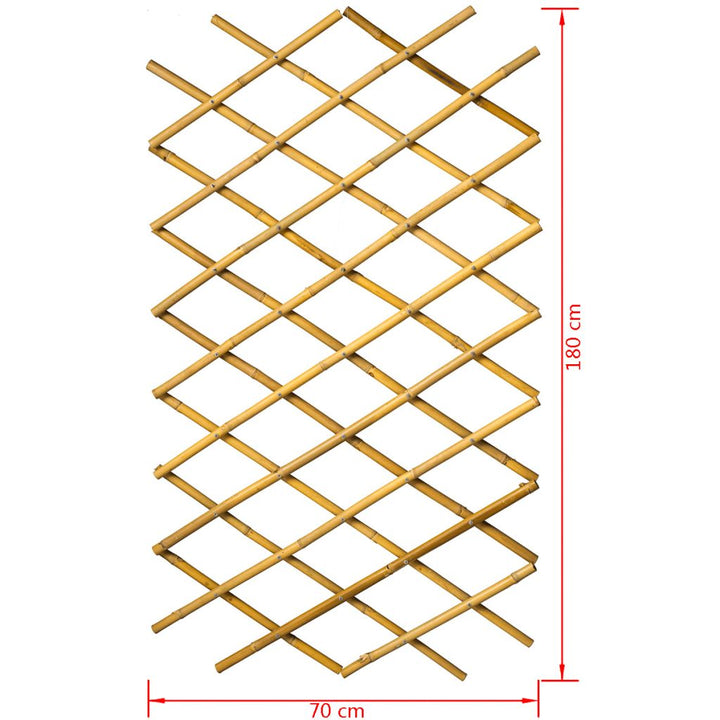 Nature Latwerk voor tuin 70x180 cm bamboe 6040721 - Griffin Retail