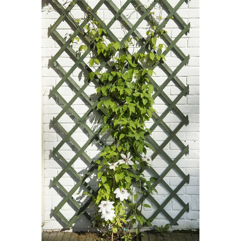 Nature Tuinlatwerk 50x150 cm hout groen - Griffin Retail
