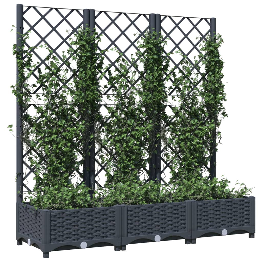 Plantenbak met latwerk 120x40x121,5 cm polypropeen donkergrijs - Griffin Retail