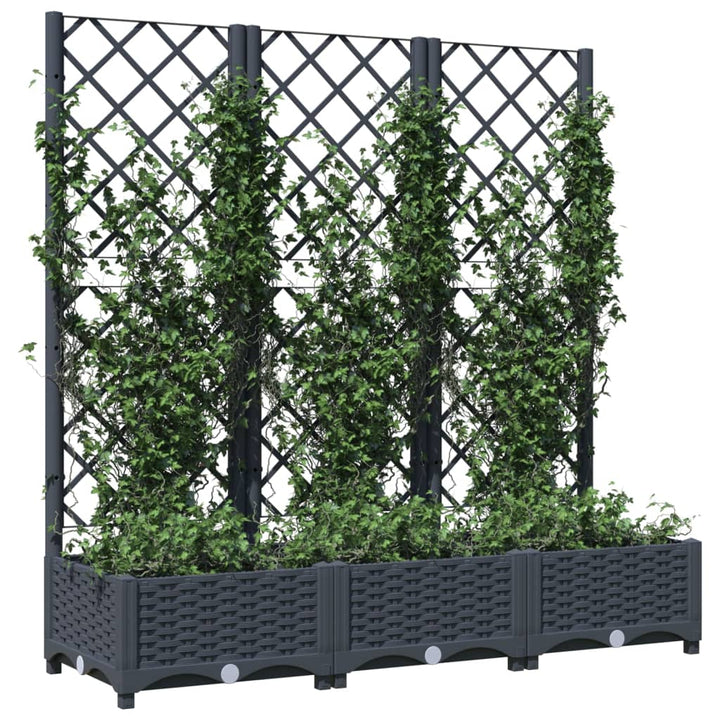 Plantenbak met latwerk 120x40x121,5 cm polypropeen donkergrijs - Griffin Retail