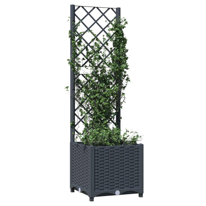 Plantenbak met latwerk 40x40x136 cm polypropeen donkergrijs - Griffin Retail