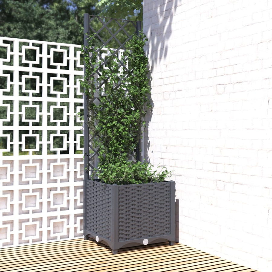 Plantenbak met latwerk 40x40x136 cm polypropeen donkergrijs - Griffin Retail