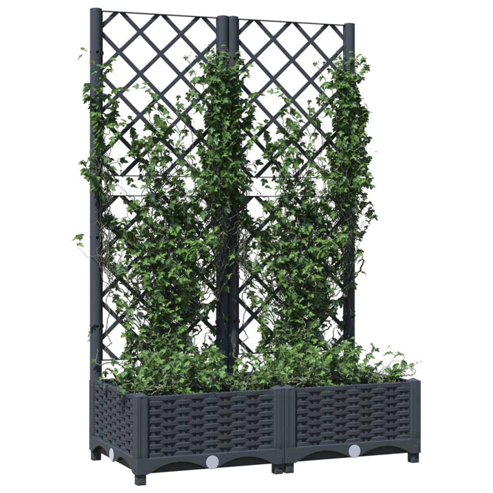 Plantenbak met latwerk 80x40x121,5 cm polypropeen donkergrijs - Griffin Retail