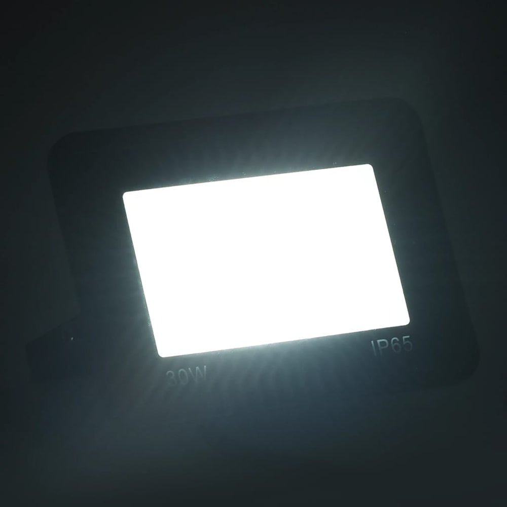 Spotlight LED 30 W koudwit - Griffin Retail