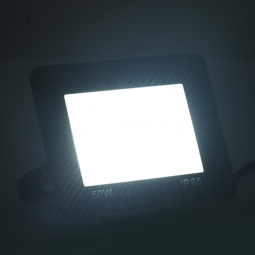 Spotlight LED 50 W koudwit - Griffin Retail